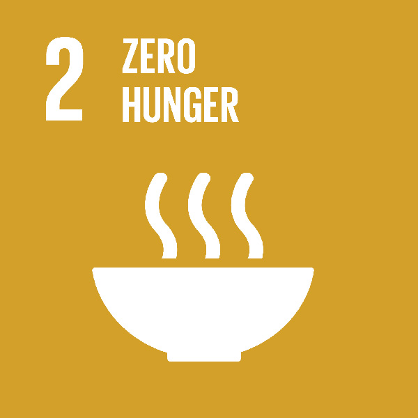 02 Un Sdg Zero Hunger