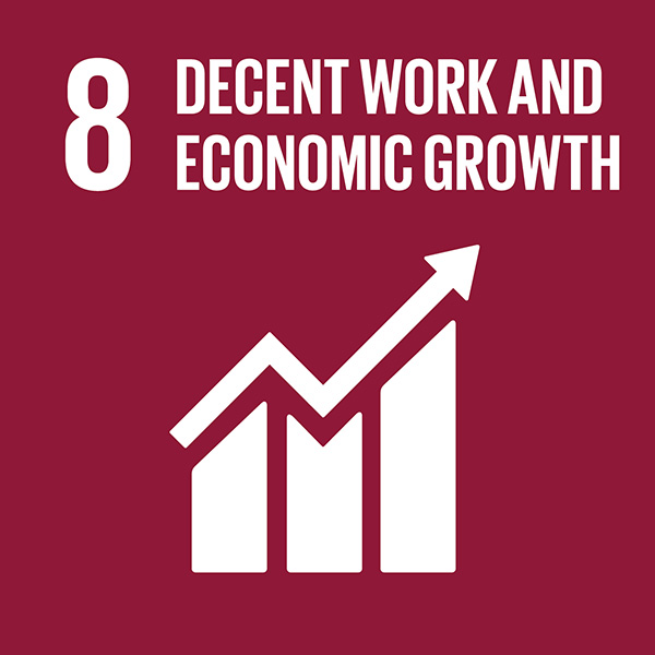 08 Un Sdg Decent Work Economic Growth