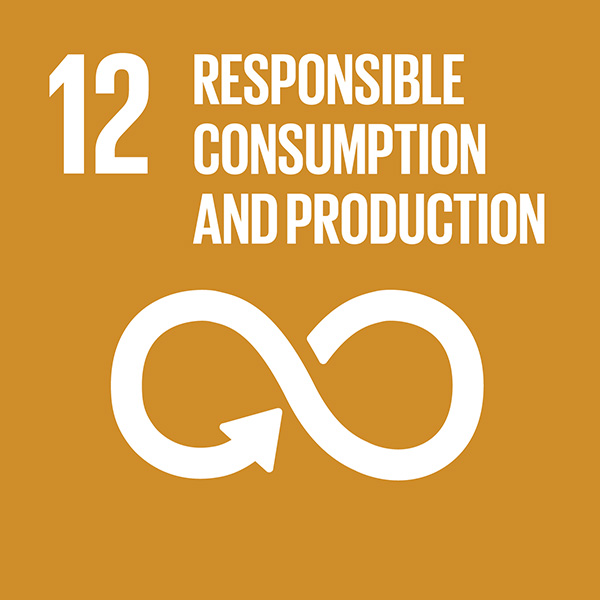 12 Un Sdg Responsible Consumption And Production