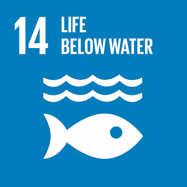 14 Un Sdg Life Below Water