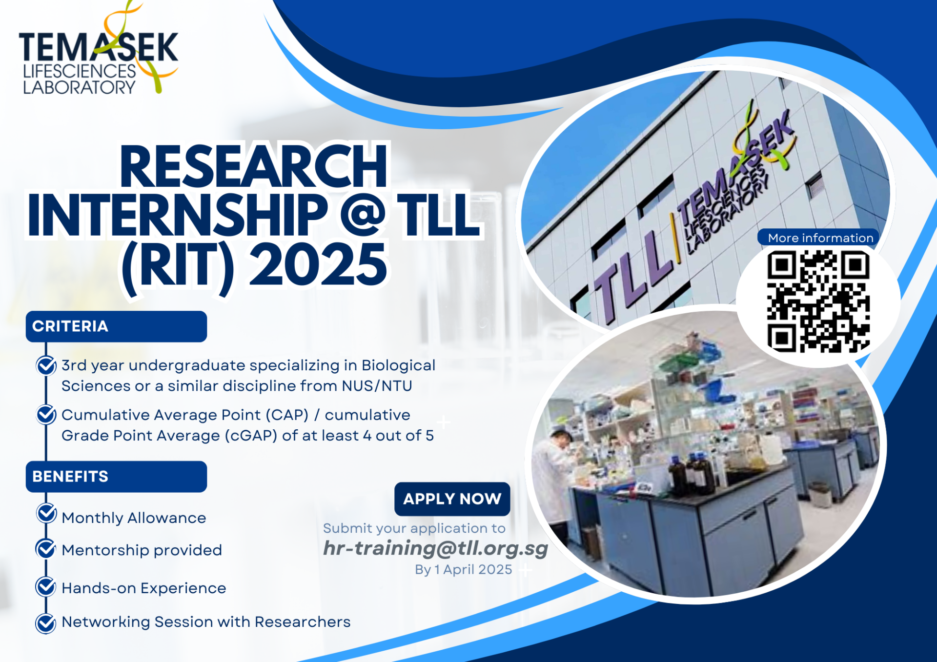 Tll Website Undergraduate Internship